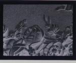 [Haas-Raster Screen (negative, magnified)]