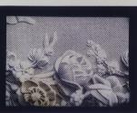 [Haas-Raster Screen (positive, magnified)]