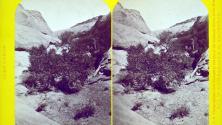 Glen Cañon