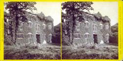 Berry Pomeroy Castle-View in Courtyard