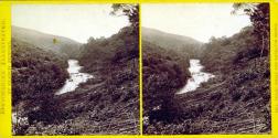 Holne Chase and Buckland Woods