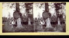 Cypress Avenue, Green-Wood Cemetery
