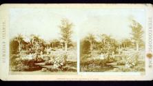 Grounds of a Private Residence, Honolulu