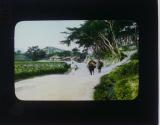 [Man walking on road with two bulls]