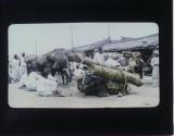 The Timber Market: Seoul, Korea