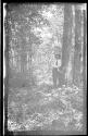 George Eastman by tree, Oak Lodge Trip