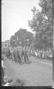 [Elephants in parade]