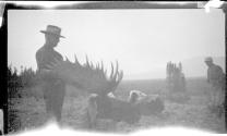 Hunting companion with dead moose, Alaska trip