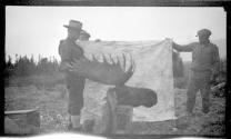 Hunting companions with dead moose, Alaska trip