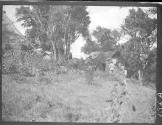 Scene at Lake Paradise, African Safari