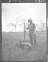 Audley Stewart and buffalo, African Safari