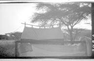 Tent pitched under a tree, African Safari