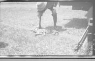 Man with dead animal, African Safari