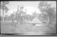 Village in jungle, African Safari