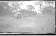 Stopped by the wayside, African Safari
