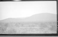 View of countryside, African Safari