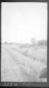 View of countryside, African Safari