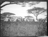 At camp, African Safari