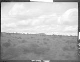 View of countryside, African Safari