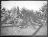 Natives at Archer's Post, African Safari