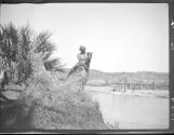 Woman overlooking water, African Safari