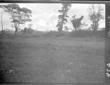 View of savannah, African Safari