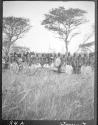 Lumbwa spearsmen with speared buffalo - Guermetti, African Safari