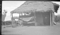 Thatched hut, African Safari