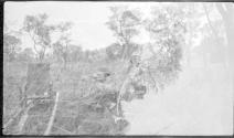Couple in bush, African Safari