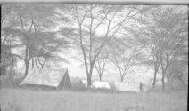 At camp, African Safari