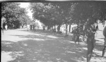 Village scene, African Safari