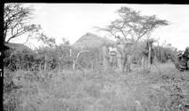 Group in bush, African Safari