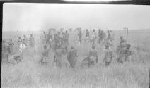 Group of Africans, African Safari