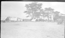 At camp, African Safari