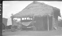 Hut, African Safari