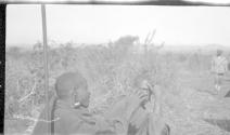 Two Africans, African Safari