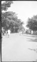 Street scene, African Safari