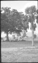 Group under a tree, African Safari