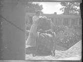 Maria Eastman in garden