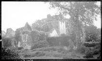 Muckross Abbey