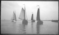 Zuyder Sea
