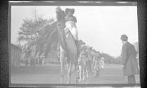 [People riding various animals at zoo]