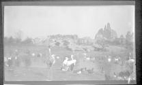 [Birds by pond at zoo]