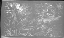 [Park view with waterwheel]