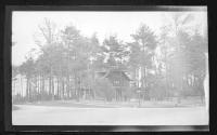 [House among trees]