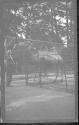 [Man feeding camel in zoo]