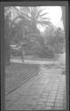 [Paved walkway in garden]