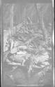 [Group of alligators in pan]
