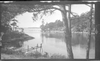 [River landscape]