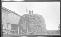[Men on large hay stack]